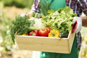Panier fraîcheur
